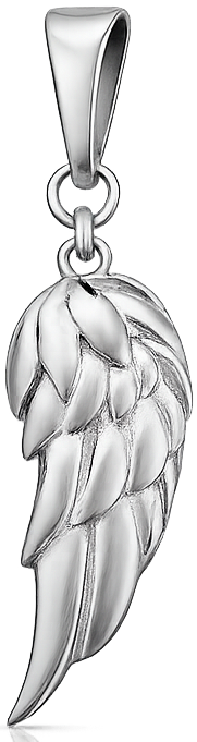 Vleugel Zilver