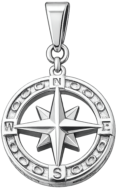 True North Zilver