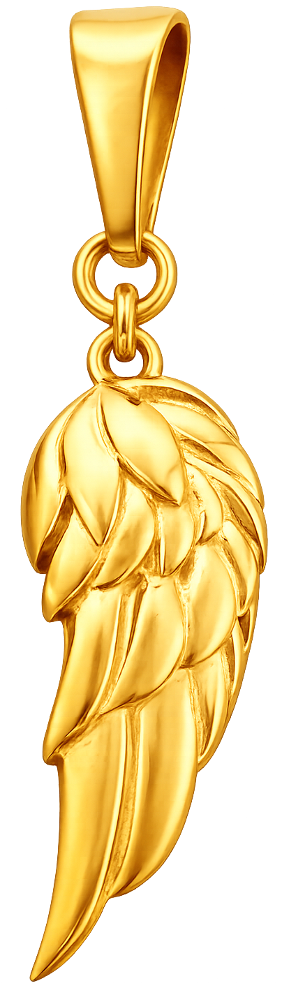 Vleugel Ketting voor Heren – Goud